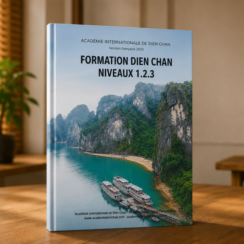 Livre officiel Dien Chan niveaux 1 2 3 – Multiréflexologie BQC©
