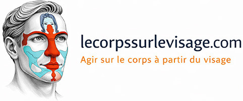 lecorpssurlevisage