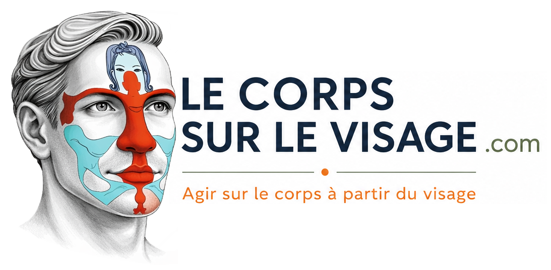 lecorpssurlevisage
